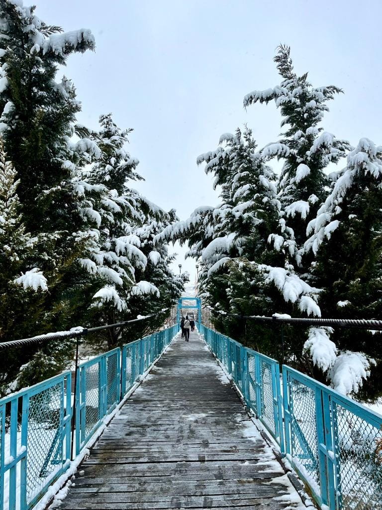 Puente nevado